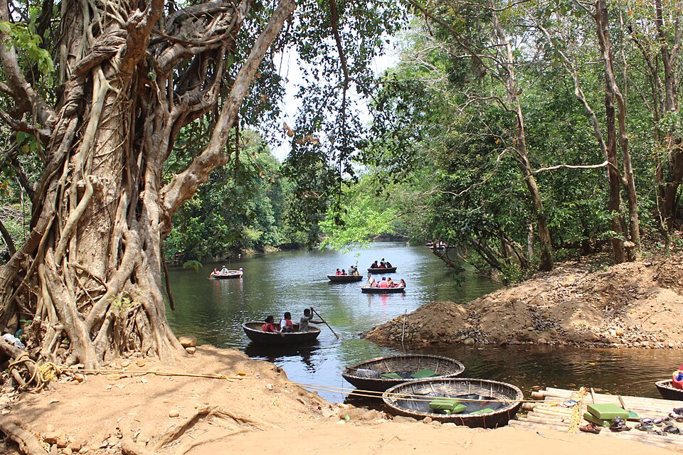 Adavi eco-tourism coracle rafting amidst dense forest in Pathanamthitta, Kerala