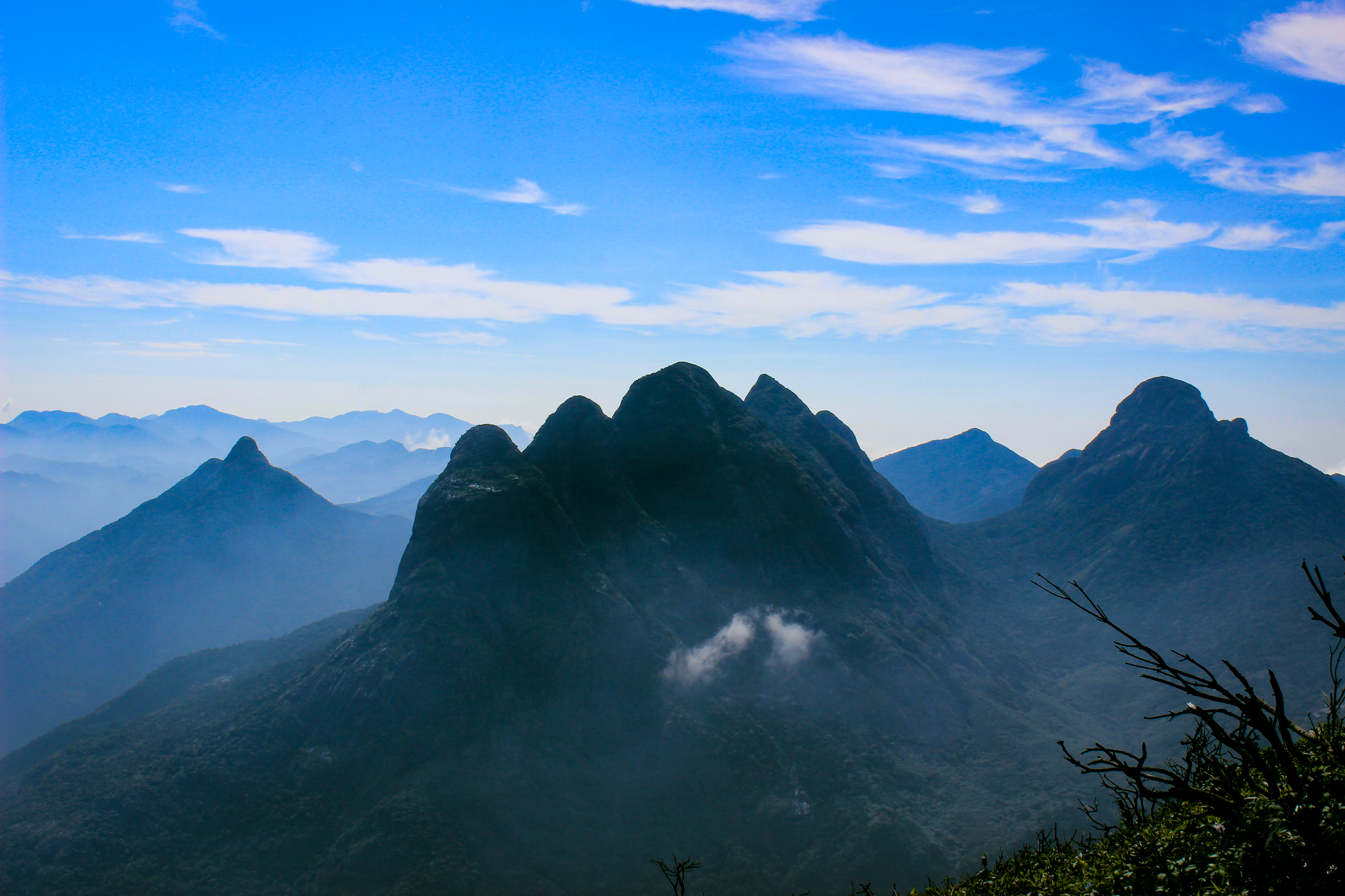 Agasthyarkoodam peak — misty Western Ghats forest and medicinal plants, Kerala