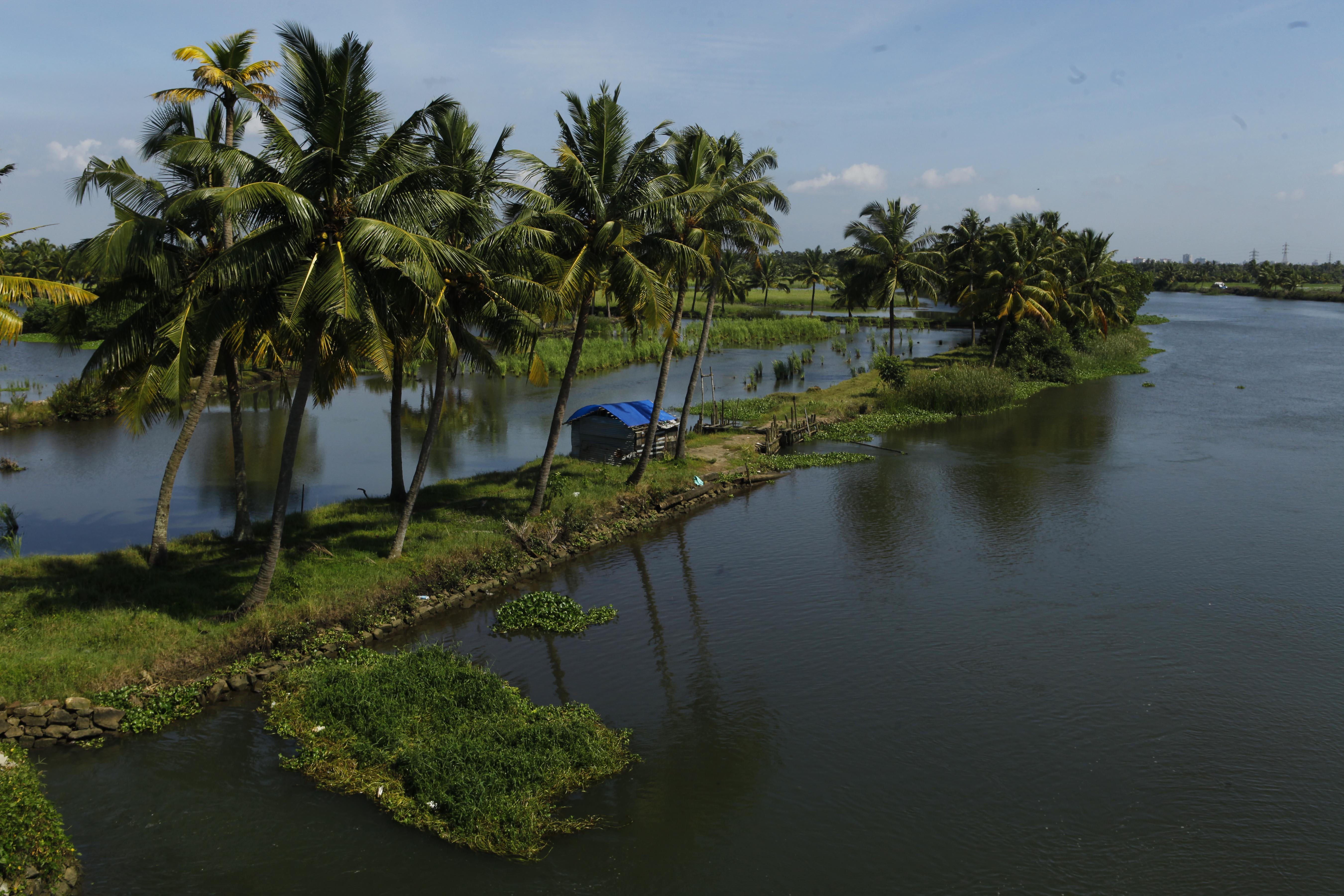 Backwaters of Kochi