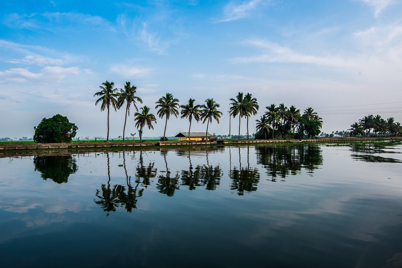 Backwaters of Alleppey