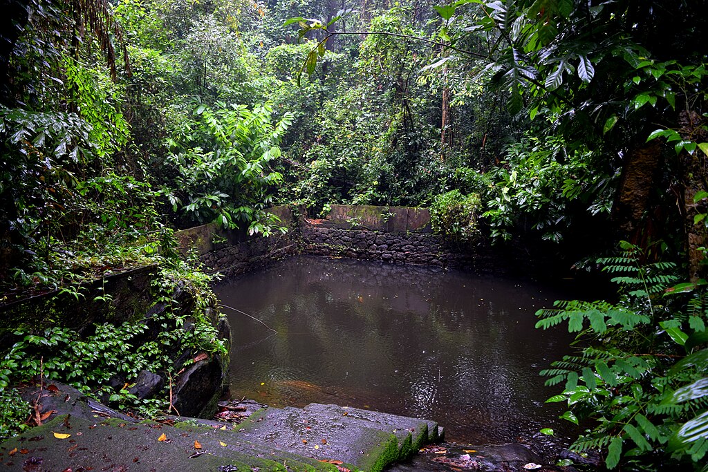 Pond at Iringol kavu
