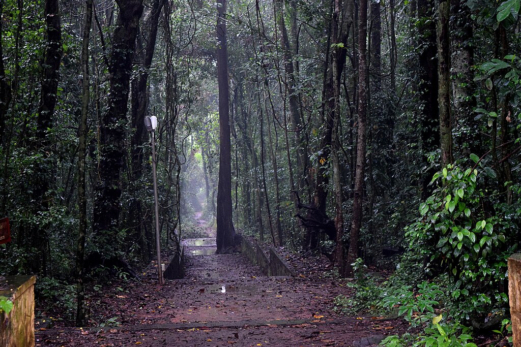 premises of iringol-kavu