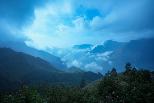 Misty morning over Munnar tea gardens Western Ghats Kerala highlands
