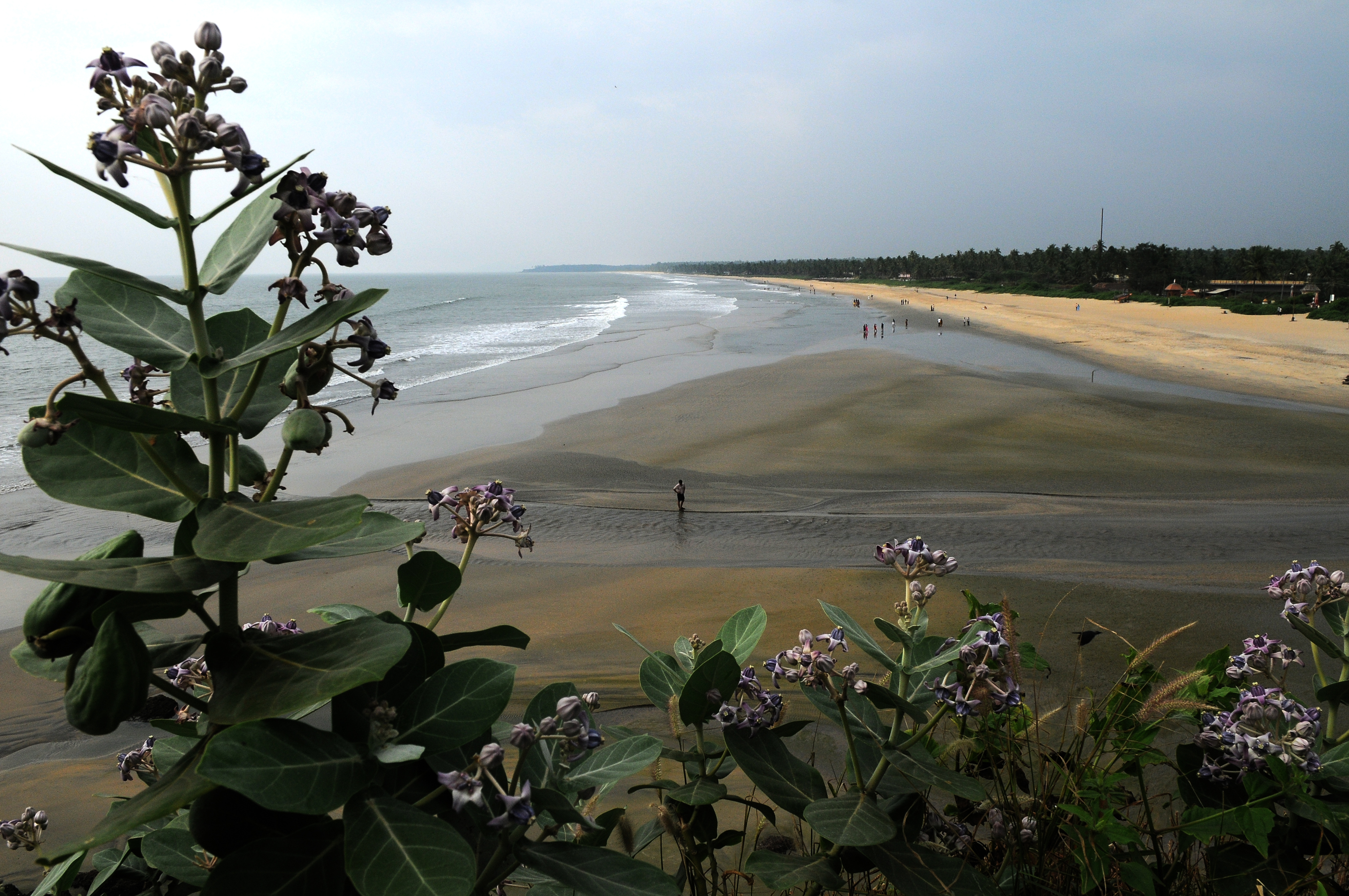 payyambalam-beach