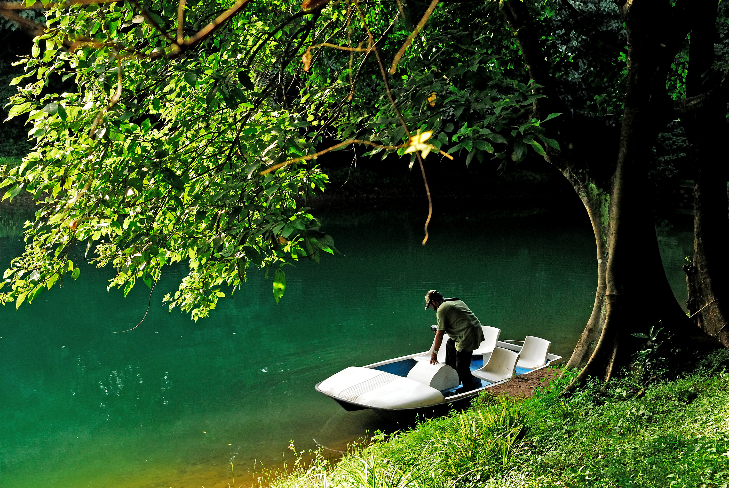 Thenmala eco-tourism destination with forest and adventure zones in Kerala