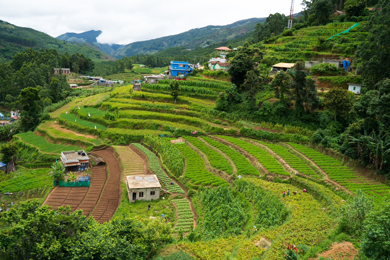 Vattavada Village Idukki