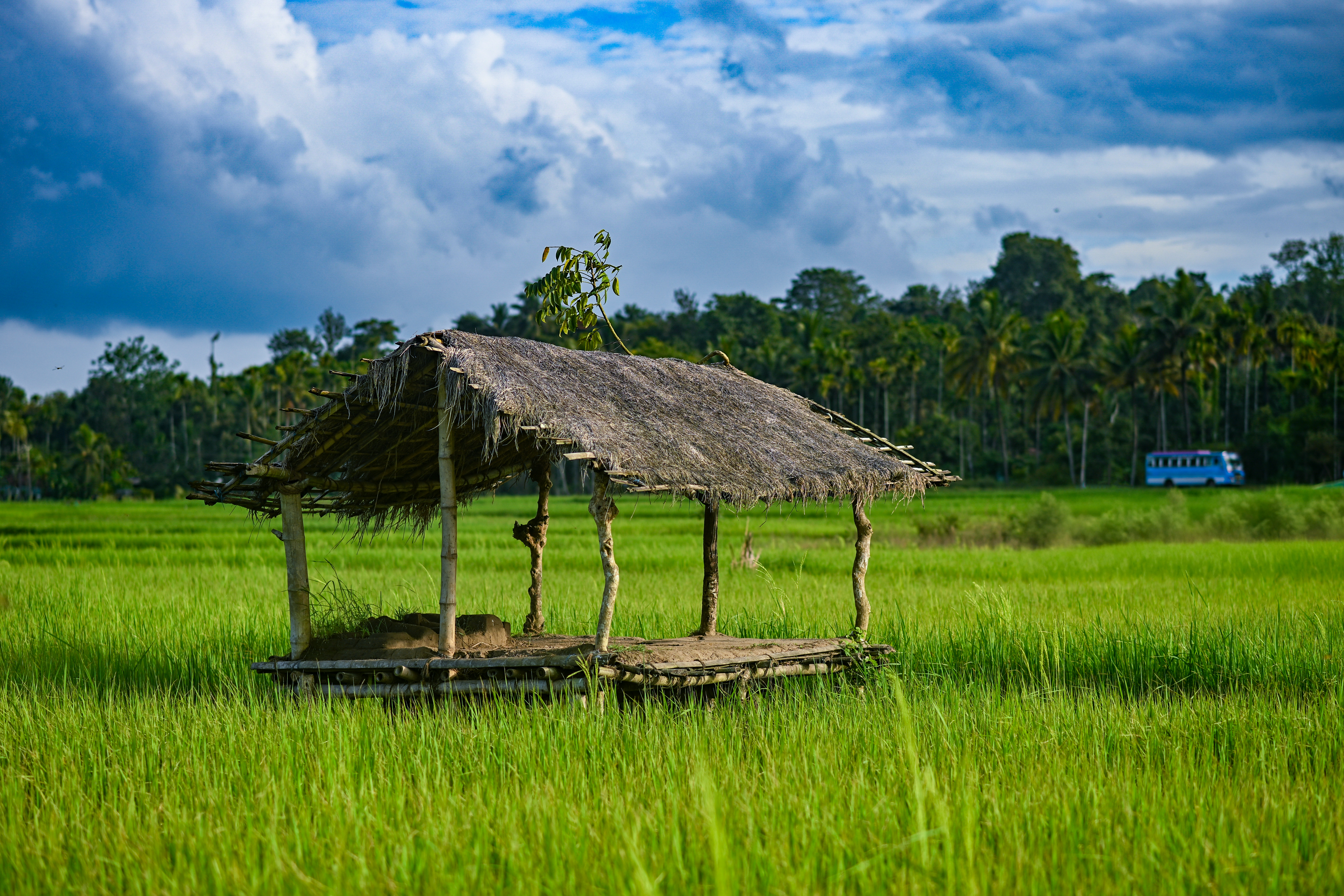 Scenic village landscape in Wayanad district, Kerala