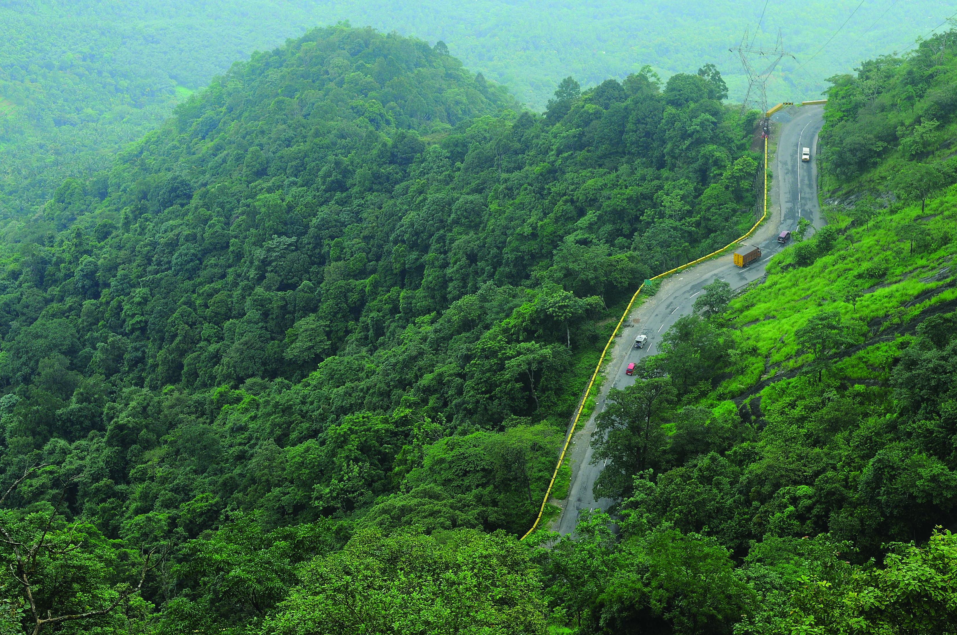 Thamarassery Ghat Road